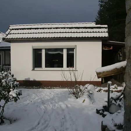 Am Waldrand Bei Kuehlungsborn * Biendorf