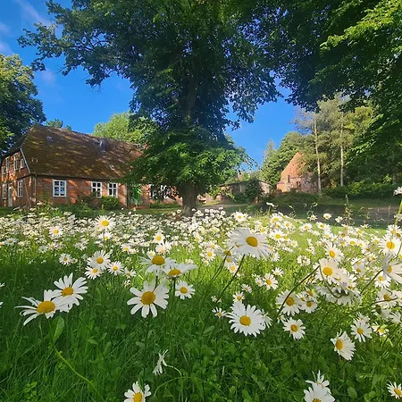 Am Waldrand Bei Kuehlungsborn *
