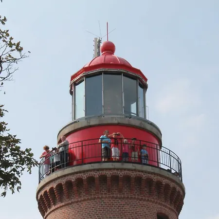 Am Waldrand Bei Kuehlungsborn