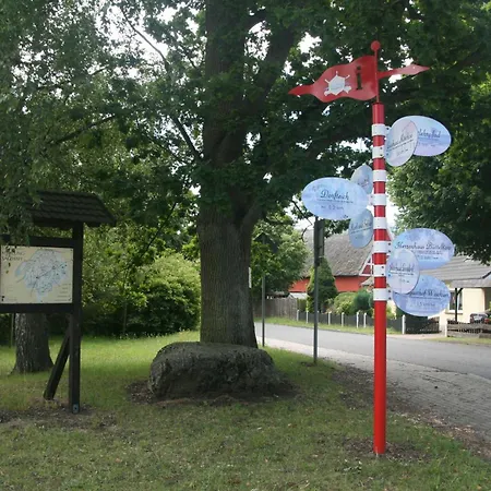 Am Waldrand Bei Kuehlungsborn