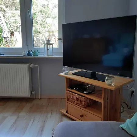 Am Waldrand Bei Kuehlungsborn *